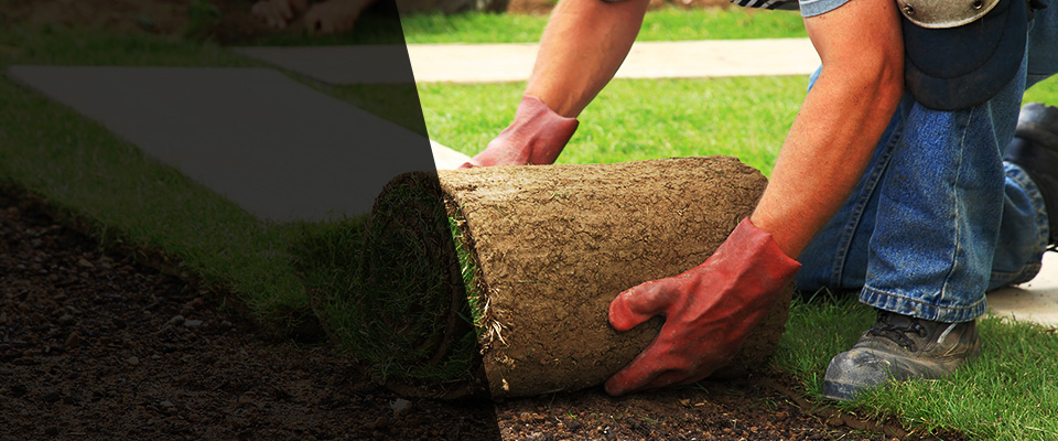 Santa Rosa Landscapers